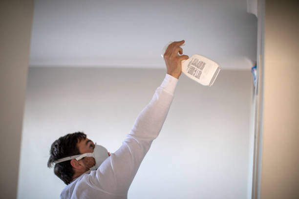 Best Affordable Mold Removal  in Fairlawn, VA