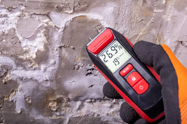 Best Emergency Mold Removal  in Fairlawn, VA