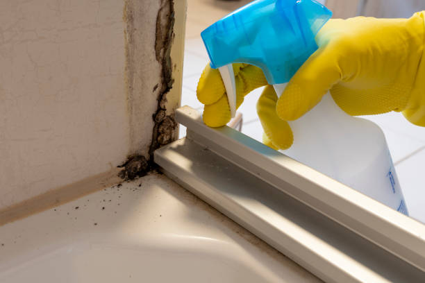 Fairlawn, VA Mold Removal Company