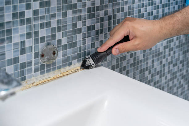Best Mold Testing  in Fairlawn, VA