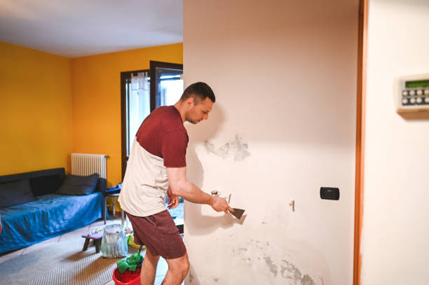 Best Crawl Space Mold Removal  in Fairlawn, VA