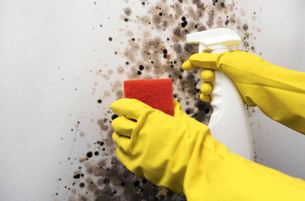 Water Damage Restoration in Fairlawn, VA