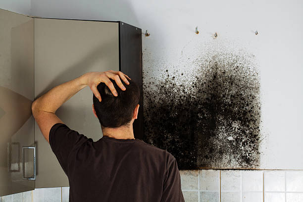 Mold Removal Process in Fairlawn, VA